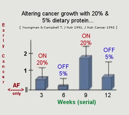 cancer-diet study
